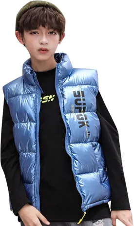 Boys Girls Puffer Vest Winter Coat Warm Lightweight Toddler Vest Outerwear High Neck Cute Sleeveless Down Jacket Coat